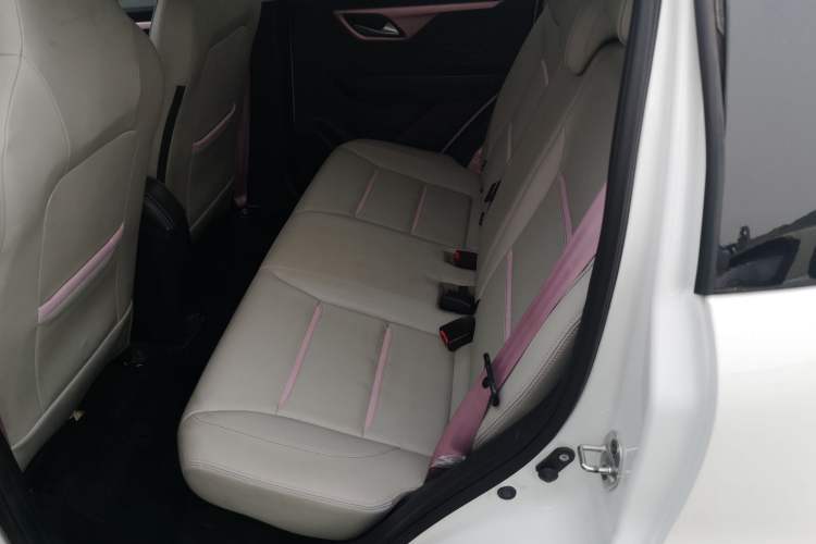 Used SOL E10X 2022 Flower Fairy Design Sunflower Left Rear Seat