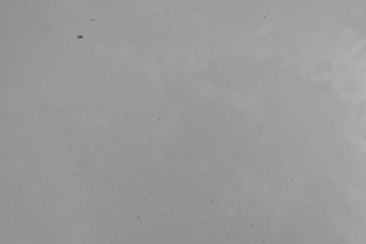 Used Dongfeng NAMMI 01 2024 New Edition 430 Max Smart+ Roof