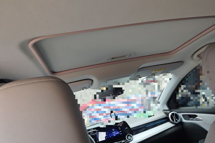 Used Chevrolet Monza 2024 1.5L Dual-Clutch Enjoyment Edition Headliner