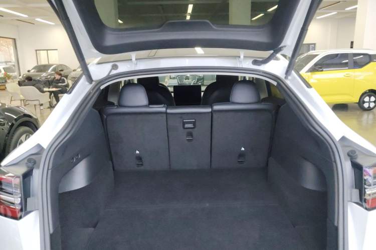 Used Tesla Model Y 2021 Standard Range Rear-Wheel Drive Version
