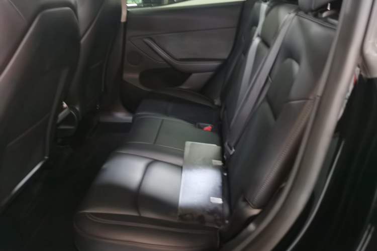 Used Tesla Model Y 2023 Rear-Wheel-Drive Version Left Rear Seat