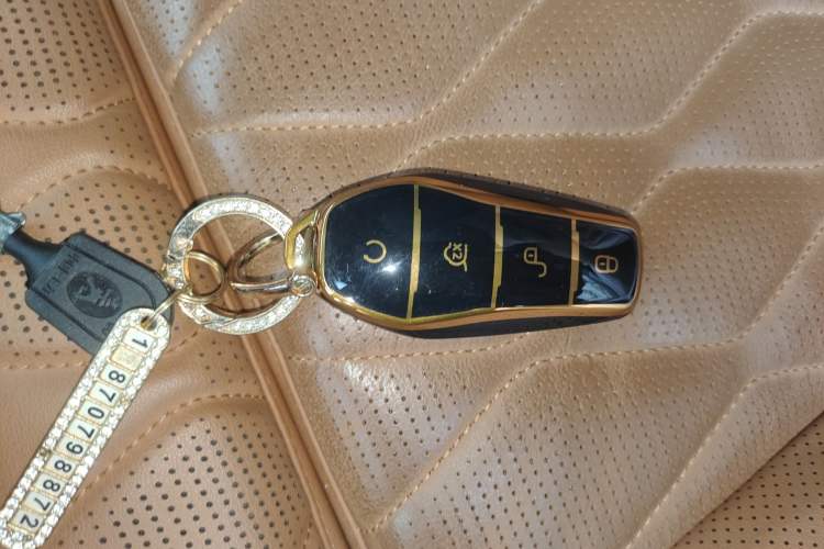 Used BYD Tang New Energy 2022 DM-i 252km Luxury Model Vehicle Key