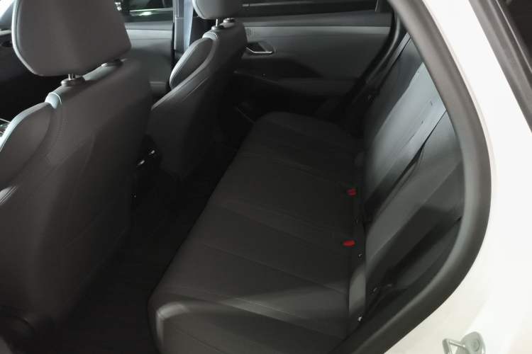 Used BYD Qin PLUS 2025 DM-i Smart Drive 55KM Leading Model Left Rear Seat