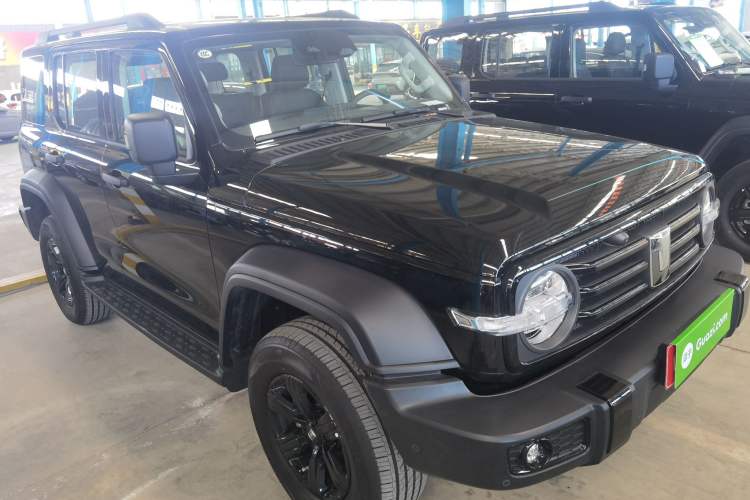 Used Tank 300 2025 2.0T Conqueror
