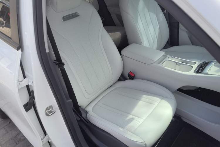 Used Geely Galaxy Geome 2025 310km Dream Edition Right Front Seat