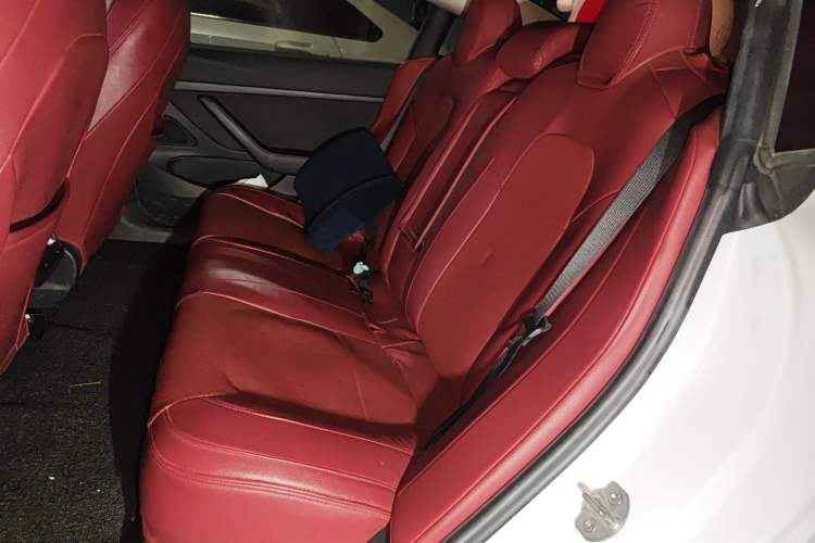 Used Tesla Model 3 2020 Revised Version Standard Range Rear-Wheel Drive – Upgraded Edition
