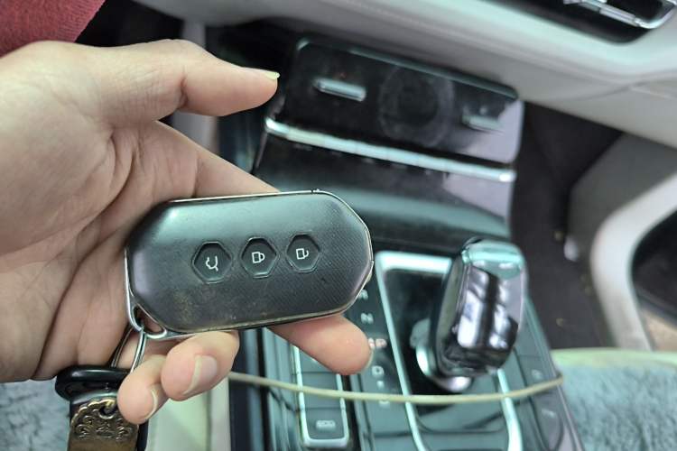 Used Wuling Victory 2023 2.0L DHT Luxury Edition
