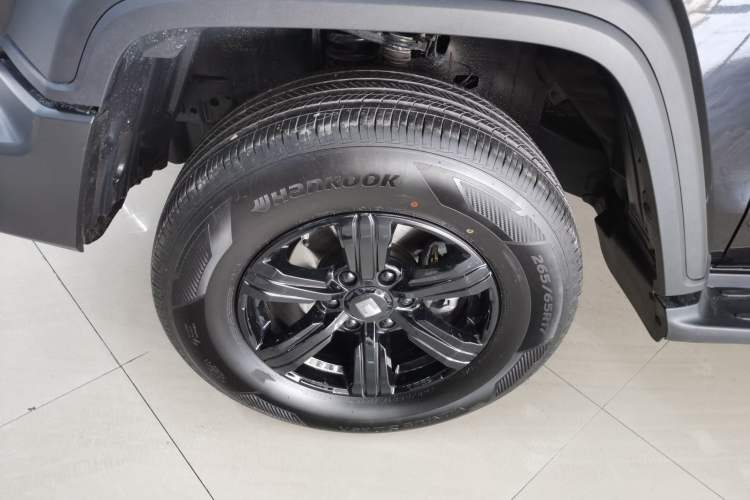 Used Tank 300 2024 2.0T Conqueror