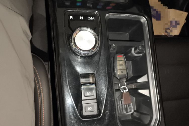 Used Haval DARGO 2021 2.0T DCT 4x4 Chinese Rural Dog Edition
