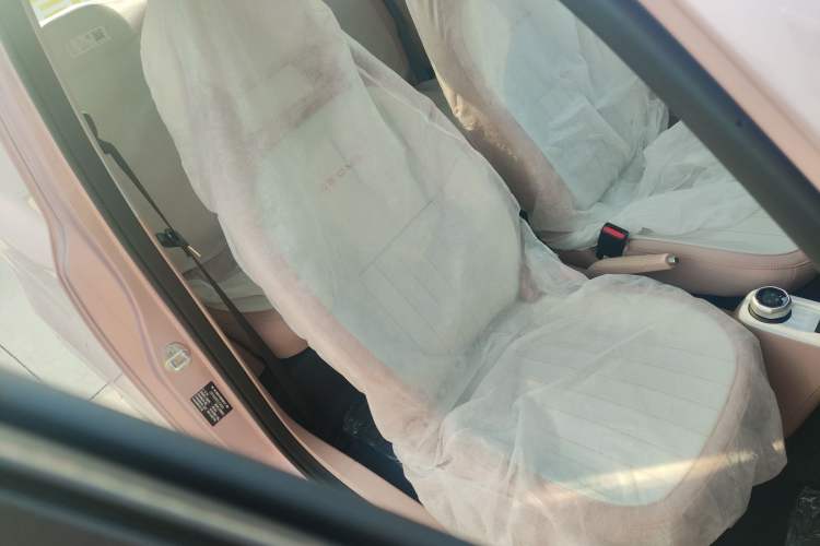 Used Geely Galaxy Panda 2024 Panda Mini 200km Endurance Bear Right Front Seat