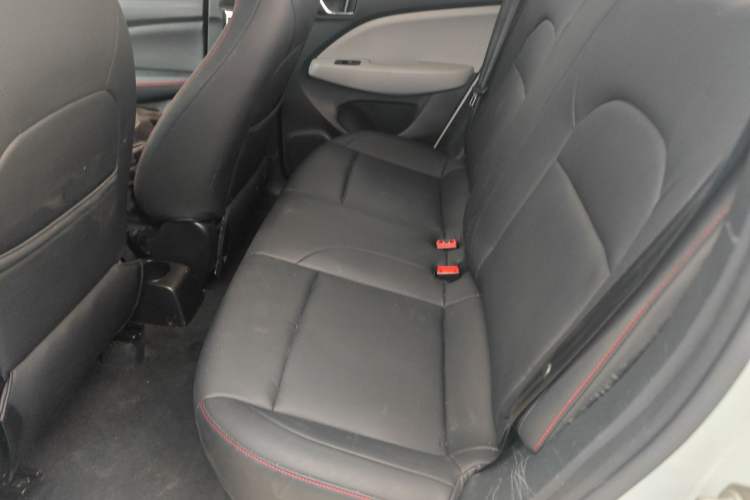 Used Leapmotor T03 2022 Agate Edition Left Rear Seat