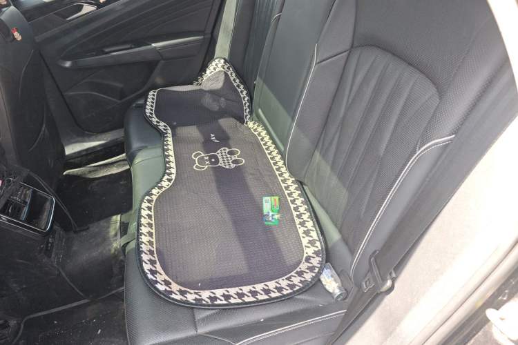 Used Volkswagen Passat 2022 330TSI Starry Luxury Edition Left Rear Seat