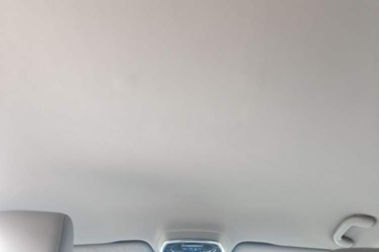 Used Denza 2017 Stylish Edition