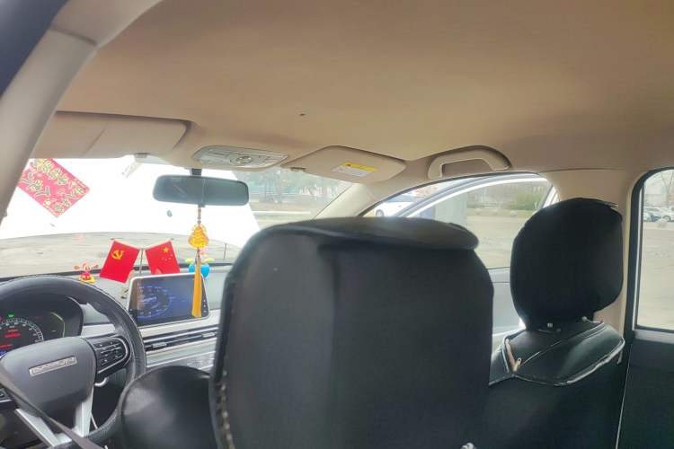 Used Dayun Yuehu 2022 300 Standard Edition Headliner