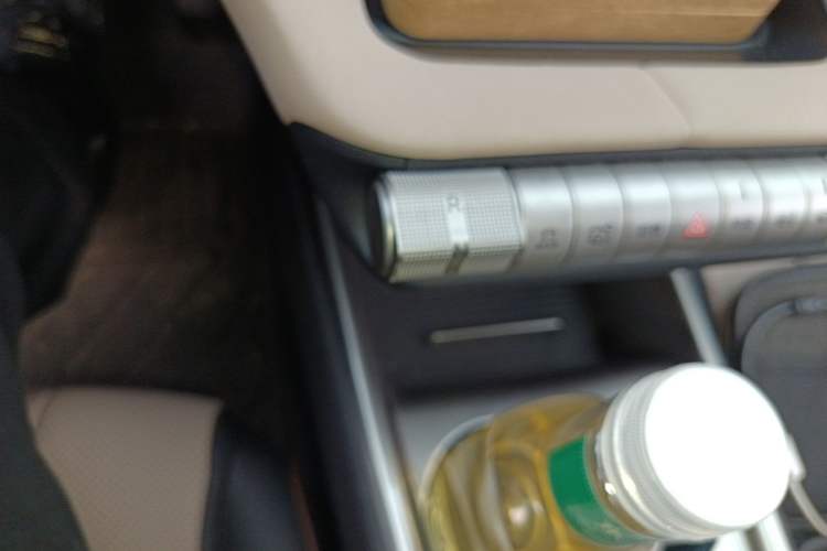 Used BYD Dolphin 2024 Honor Edition 420km Fashion Version Gear Lever