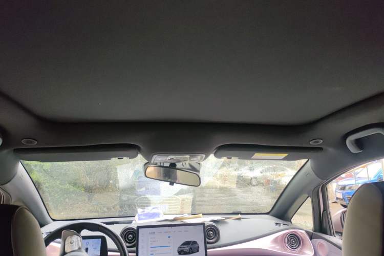 Used BYD Dolphin 2024 Honor Edition 401km Knight Edition Headliner