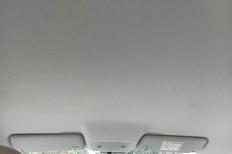 Used Leapmotor T03 2024 310 Comfort Edition Headliner