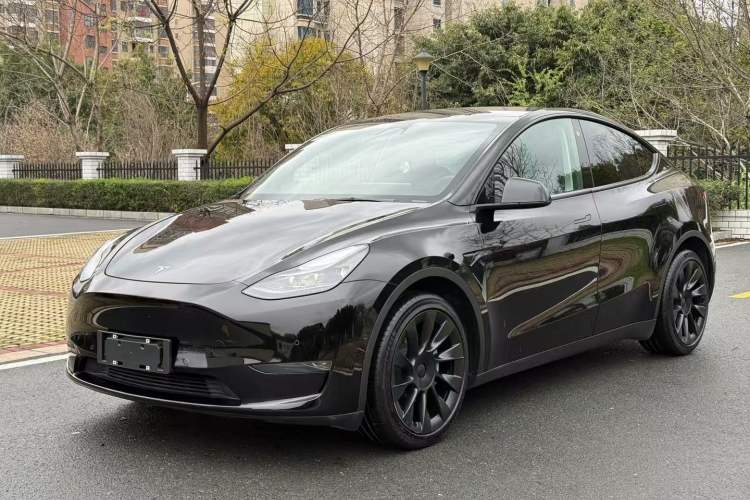 Used Tesla Model Y 2021 Standard Range Rear-Wheel Drive Version