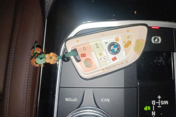 Used BMW 3 Series 2021 Facelifted 320Li M Sport Package Vehicle Key