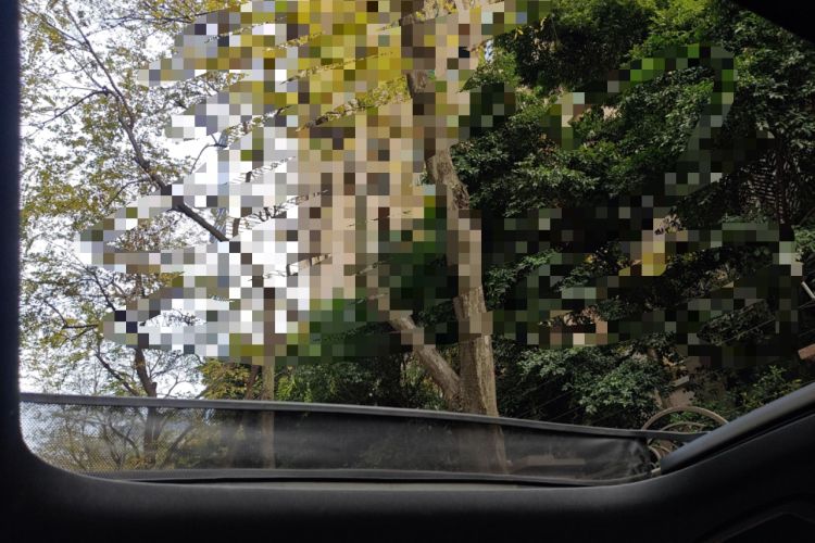 Used Lynk & Co 09 EM-P 2023 2.0TD EM-P Long-Range Version PM Six-Seater