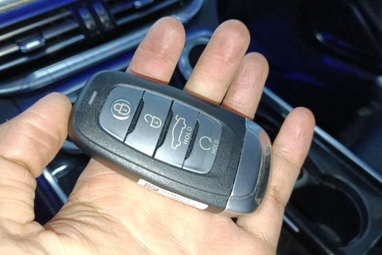 Used Hongqi H9 2020 3.0T Smart Connect Flagship Four-Seat Version
