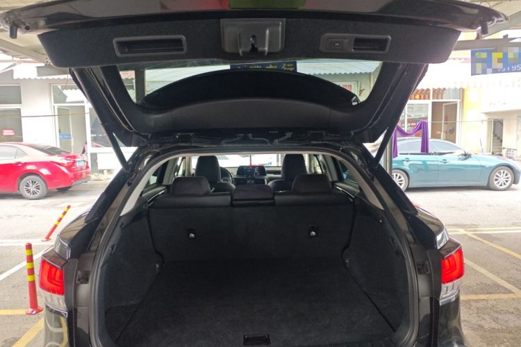 Used Lexus RX 2020 Revised Version 300 Two-Wheel Drive Elite Edition