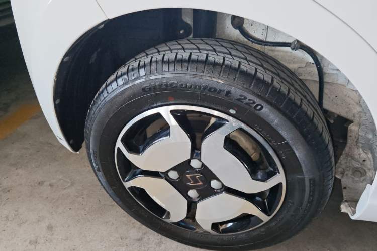 Used SOL E10X 2022 Flower Fairy Style Baby's Breath