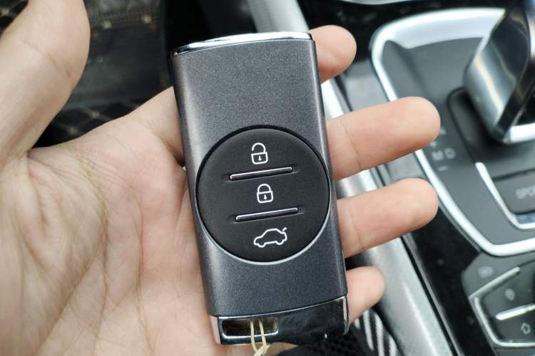 Used EXEED TX 2020 1.6T Two-Wheel Drive Star Edition
