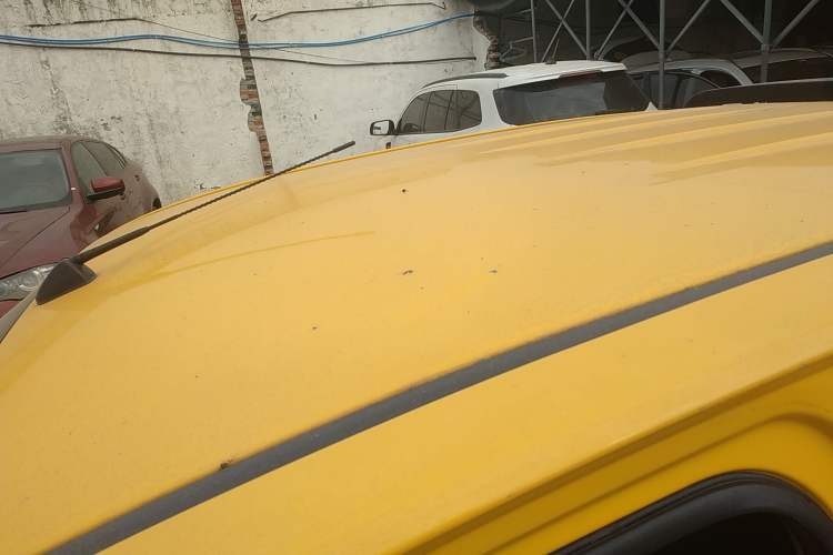 Used Isuzu JLM 2020 2.4T 4x4 Gasoline Leading-Edge GuoVI Ruimai S Standard Wheelbase 4K22D4T
