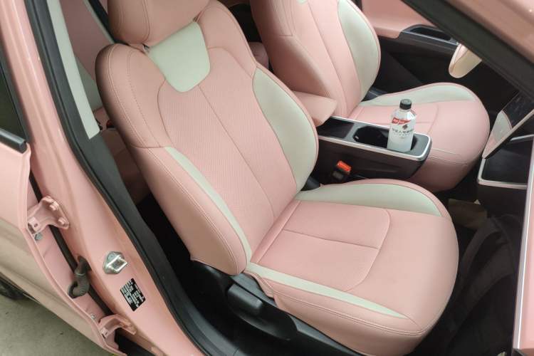 Used NETA V 2022 Chao 400 Lite Pink Custom Edition Right Front Seat