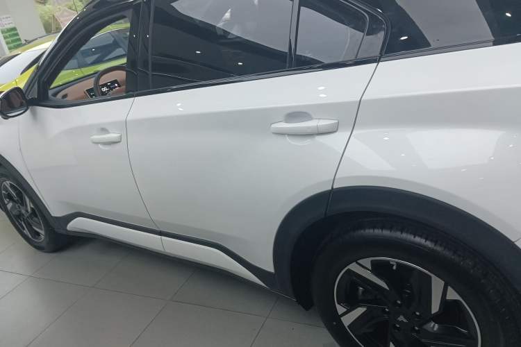 Used NETA X 2023 500