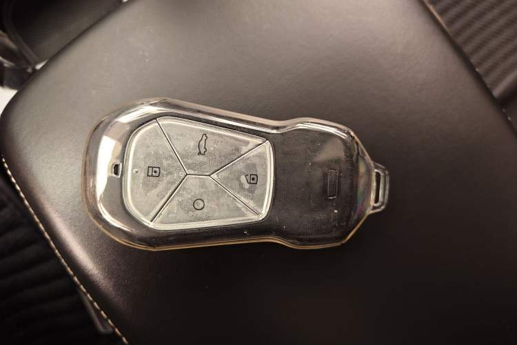 Used XPeng P5 2021 550G Vehicle Key