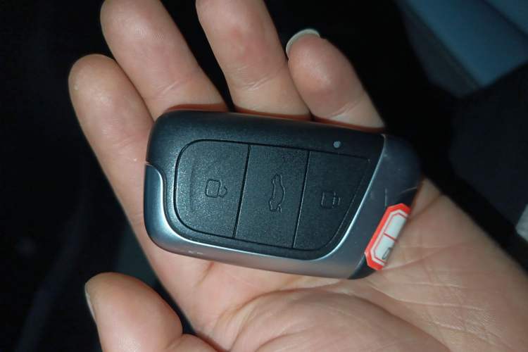 Used Chery Little Ant 2024 Revised Version Youth Edition 251 km True Love Edition 25.05 kWh Vehicle Key