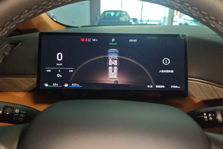 Used Wey Gaoshan 2025 Four-Wheel Drive Alpine 8