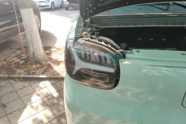 Used Know Beans Rainbow 2024 Colorful Cloud Edition
