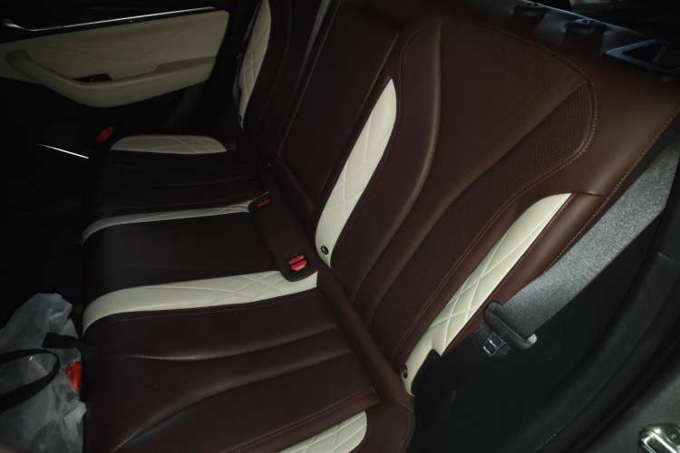 Used Geely Auto Monjaro L 2021 2.0TD High-Power Automatic All-Wheel Drive Luxury Version Left Rear Seat