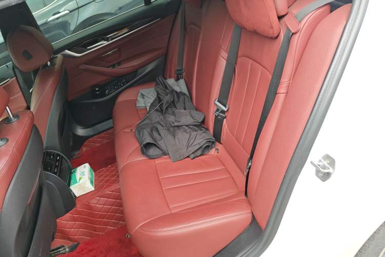 Used BMW 5 Series 2020 530Li Leading Model M Sport Package Left Rear Seat