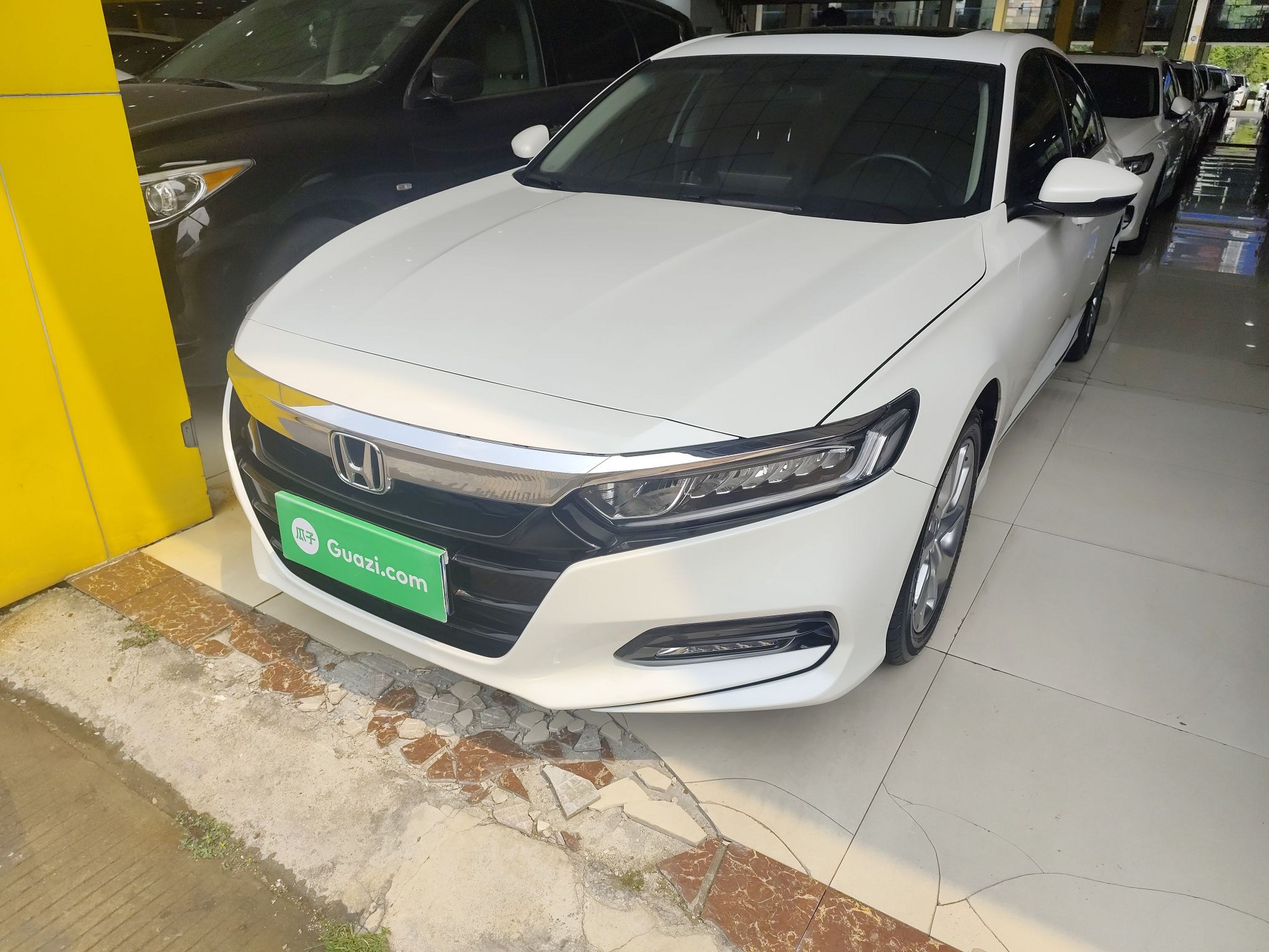 Parte inferior delantera