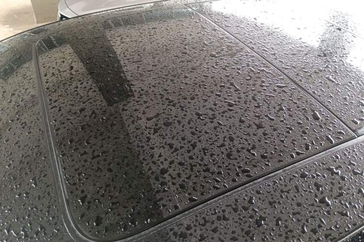 Used Volkswagen Magotan 2019 330TSI DSG Luxury Version China VI Standard Roof