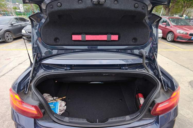 Used BMW 2 Series (Import) 2017 220i Convertible Coupe Leading Model
