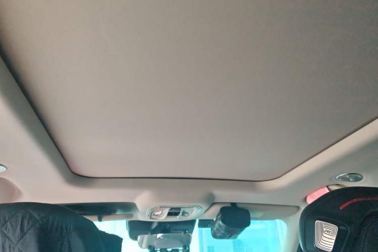 Used Haval X DOG 2022 1.5T DCT Four-Wheel Drive Trendy Wild Edition Headliner