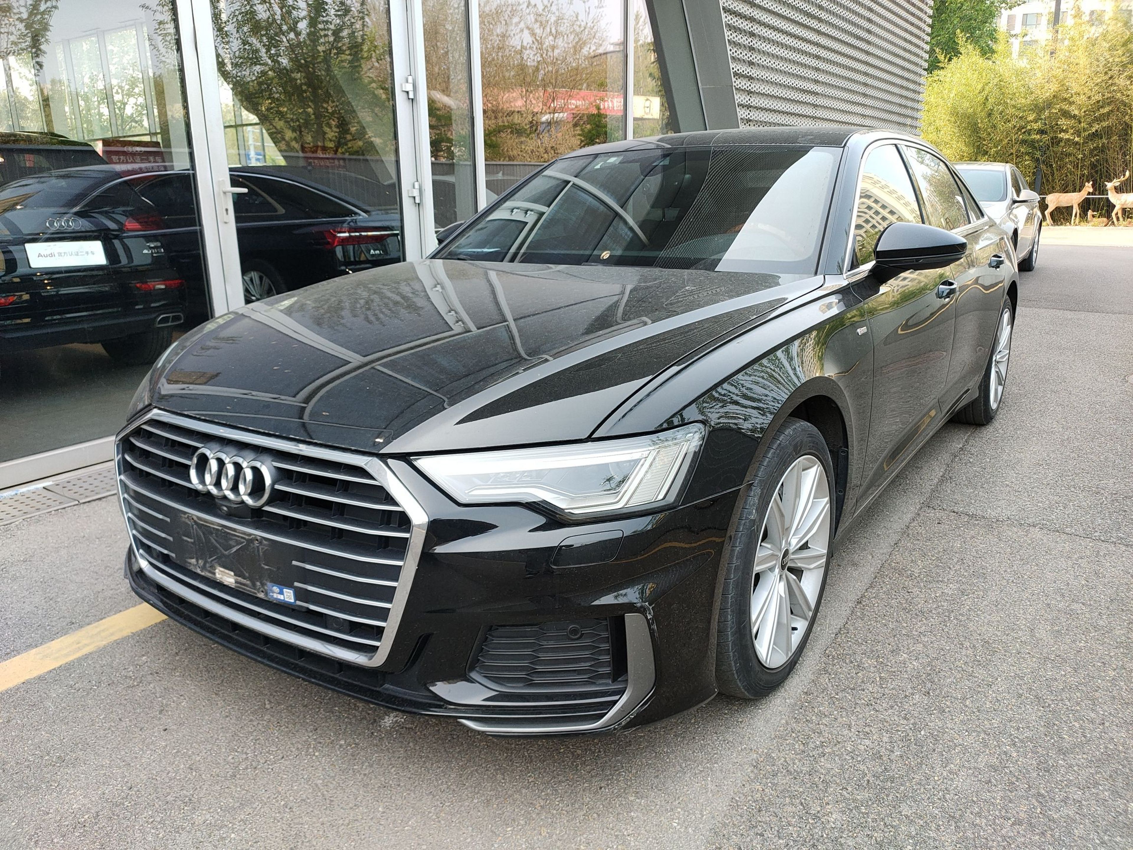 Parte inferior delantera