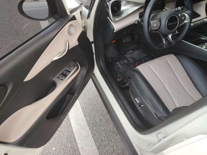 Used BYD Dolphin 2023 420 km Free Version — 15