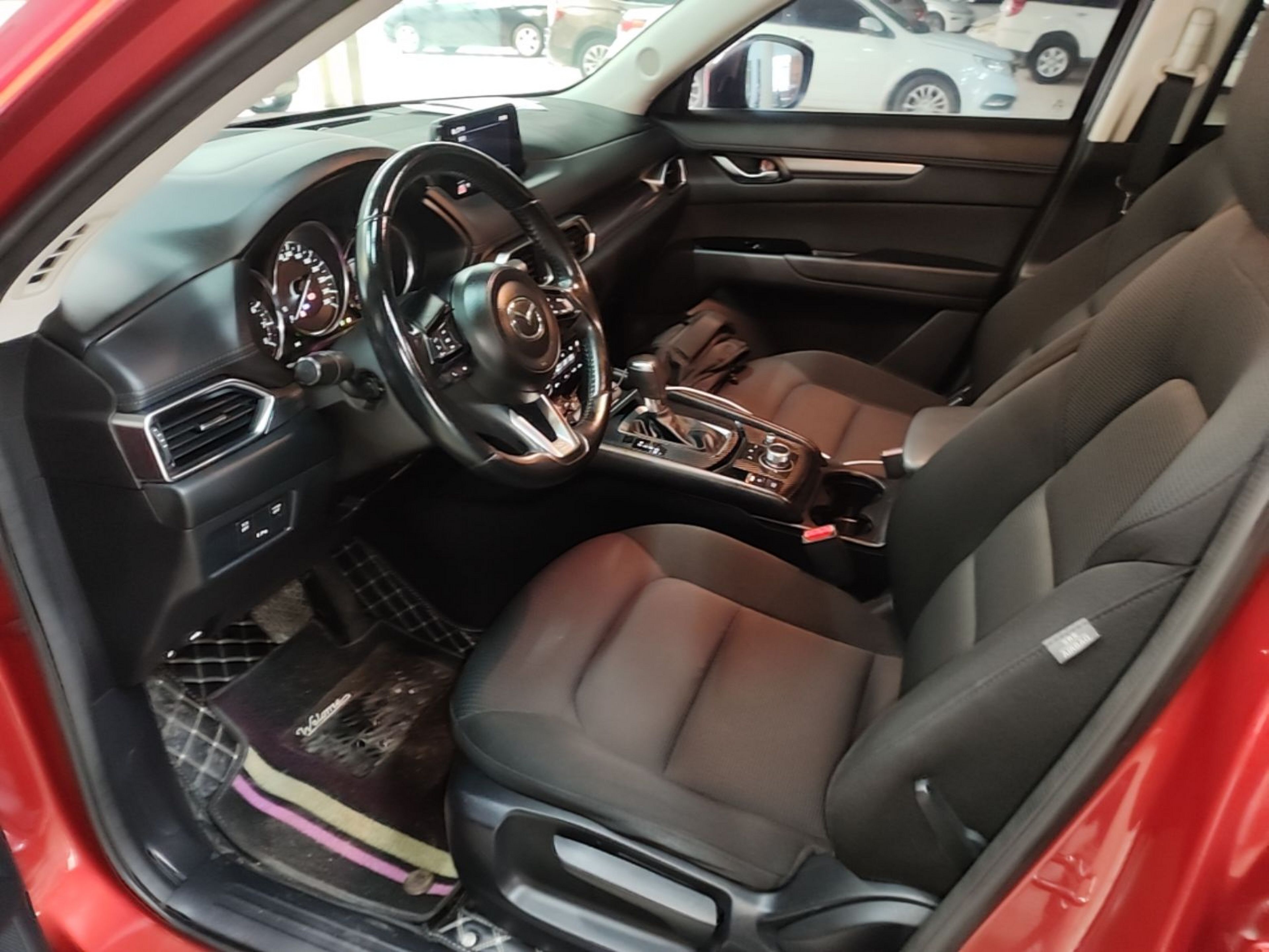 Interior delantero