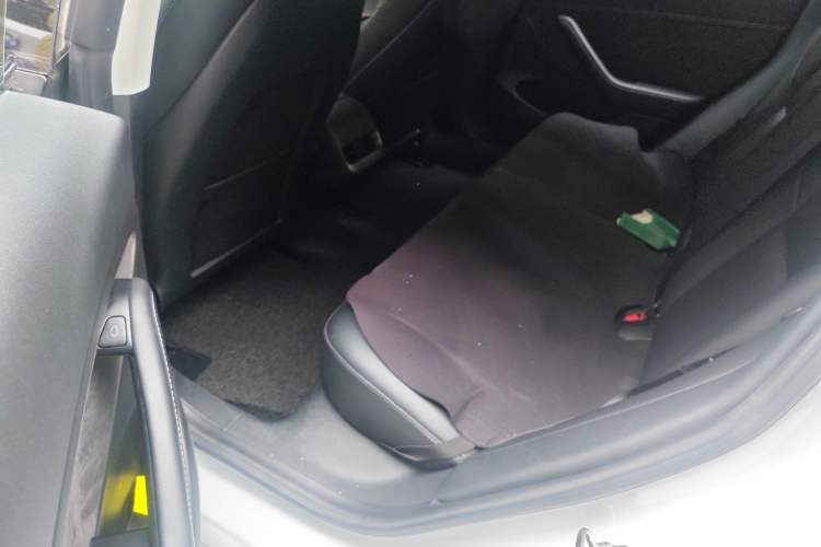 Used Tesla Model 3 2021 Standard Range Rear-Wheel Drive Upgraded Version 3D6
