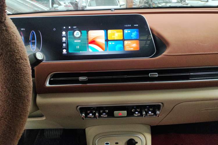 Used ORA Good Cat 2024 401 km Luxury Version