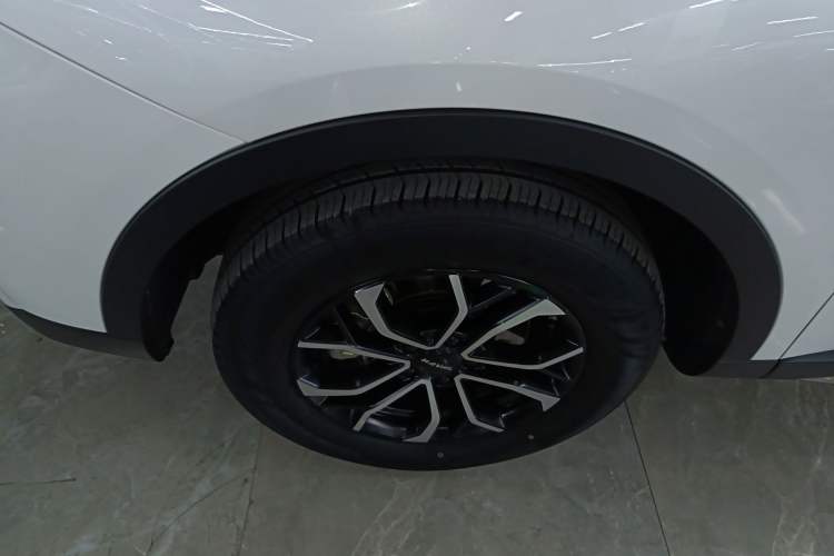 Used Haval H6 2023 National Trend Edition 1.5T Automatic Urban Version