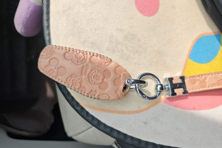 Used BYD Yuan Pro 2021 401 km Deluxe Version Vehicle Key