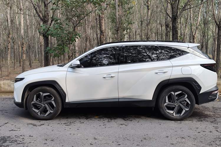 Used Hyundai Tucson 2023 Tucson L 1.5T Automatic Two-Wheel Drive LUX Prestige Edition