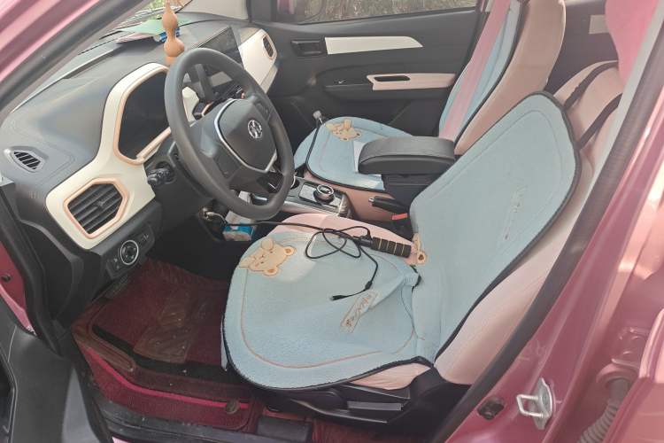 Used BAIC New Energy EC3 2019 Dynamic Edition Left Front Seat